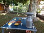 PICNIC_006.jpg